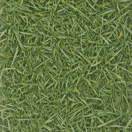 IVC Vision  Grass T25